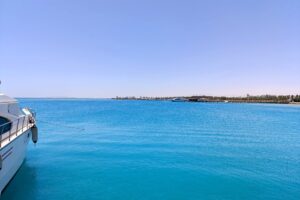 IMG_20250508_115418-EDIT